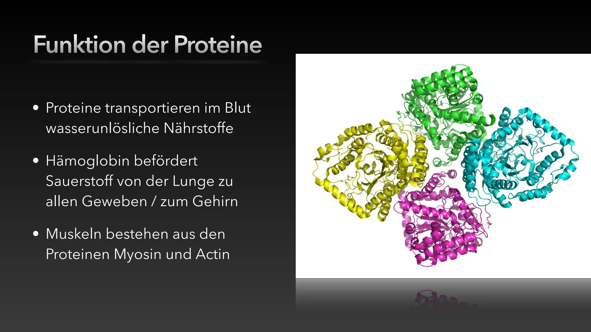 
<h2 id="proteinetagesbedarf">Proteine Tagesbedarf</h2>
<p>Es hängt von der jeweiligen Konstitution, des Körperbaues und der täglichen Aktiv