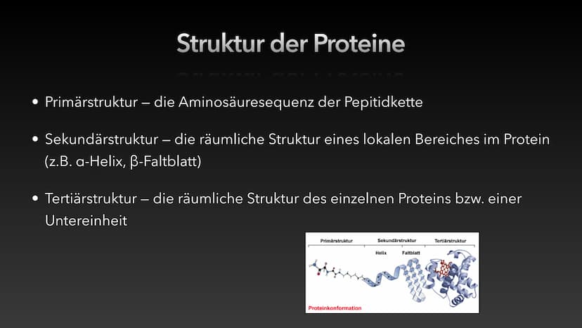 
<h2 id="proteinetagesbedarf">Proteine Tagesbedarf</h2>
<p>Es hängt von der jeweiligen Konstitution, des Körperbaues und der täglichen Aktiv