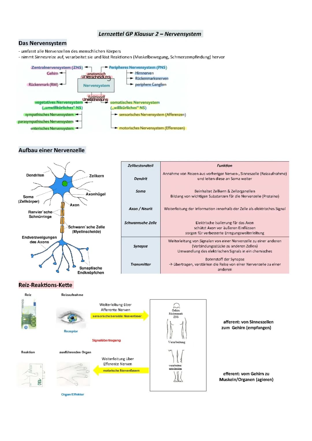 Nervensystem
