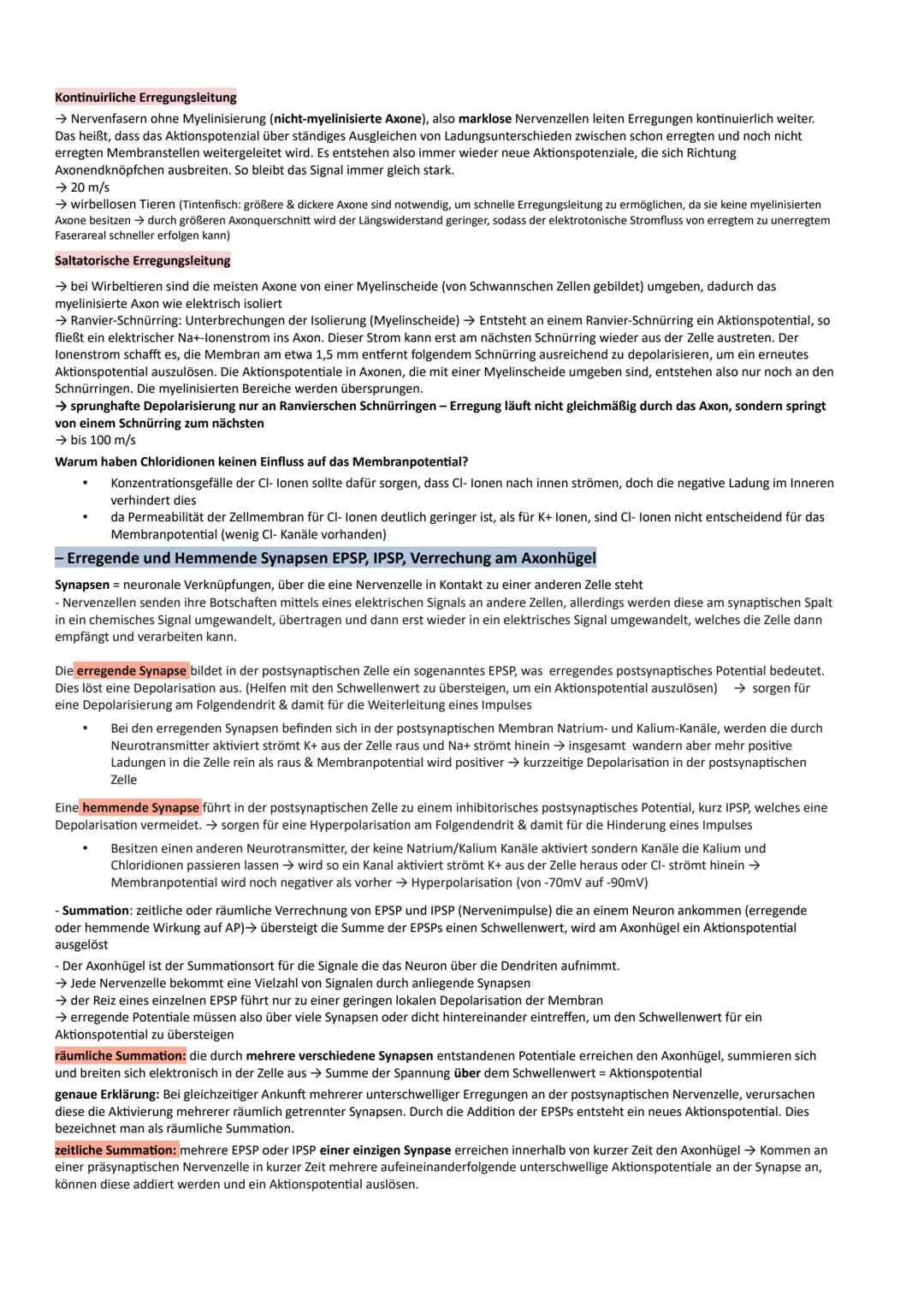 Das Nervensystem
- umfasst alle Nervenzellen des menschlichen Körpers
- nimmt Sinnesreize auf, verarbeitet sie und löst Reaktionen (Muskelbe