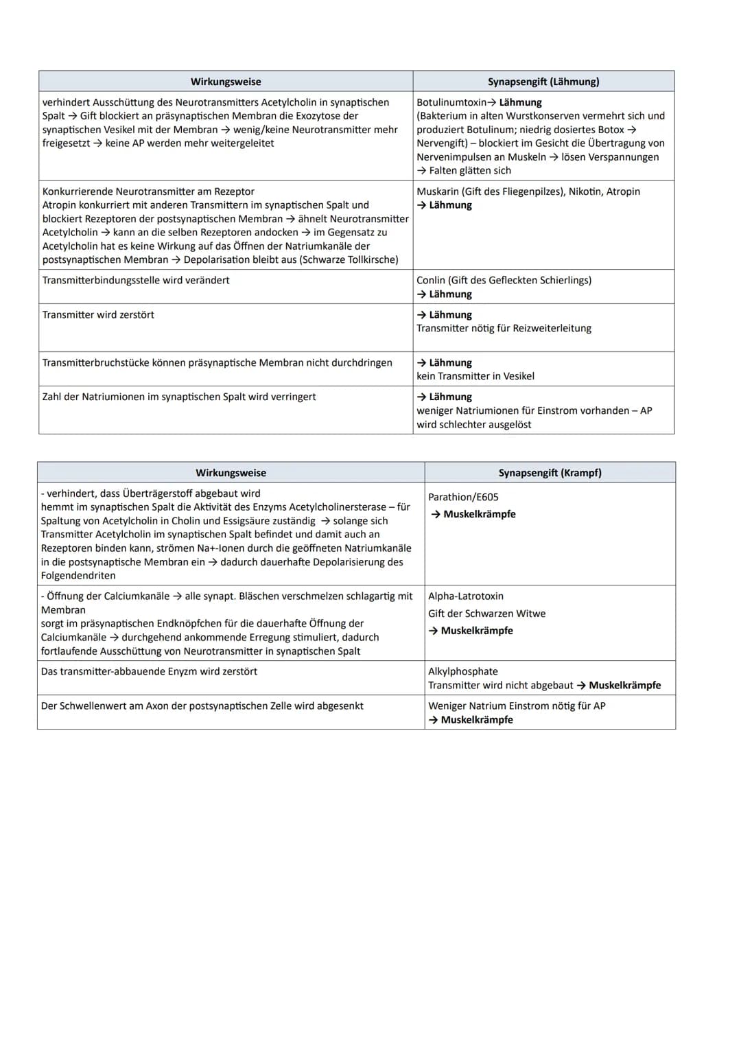 Das Nervensystem
- umfasst alle Nervenzellen des menschlichen Körpers
- nimmt Sinnesreize auf, verarbeitet sie und löst Reaktionen (Muskelbe