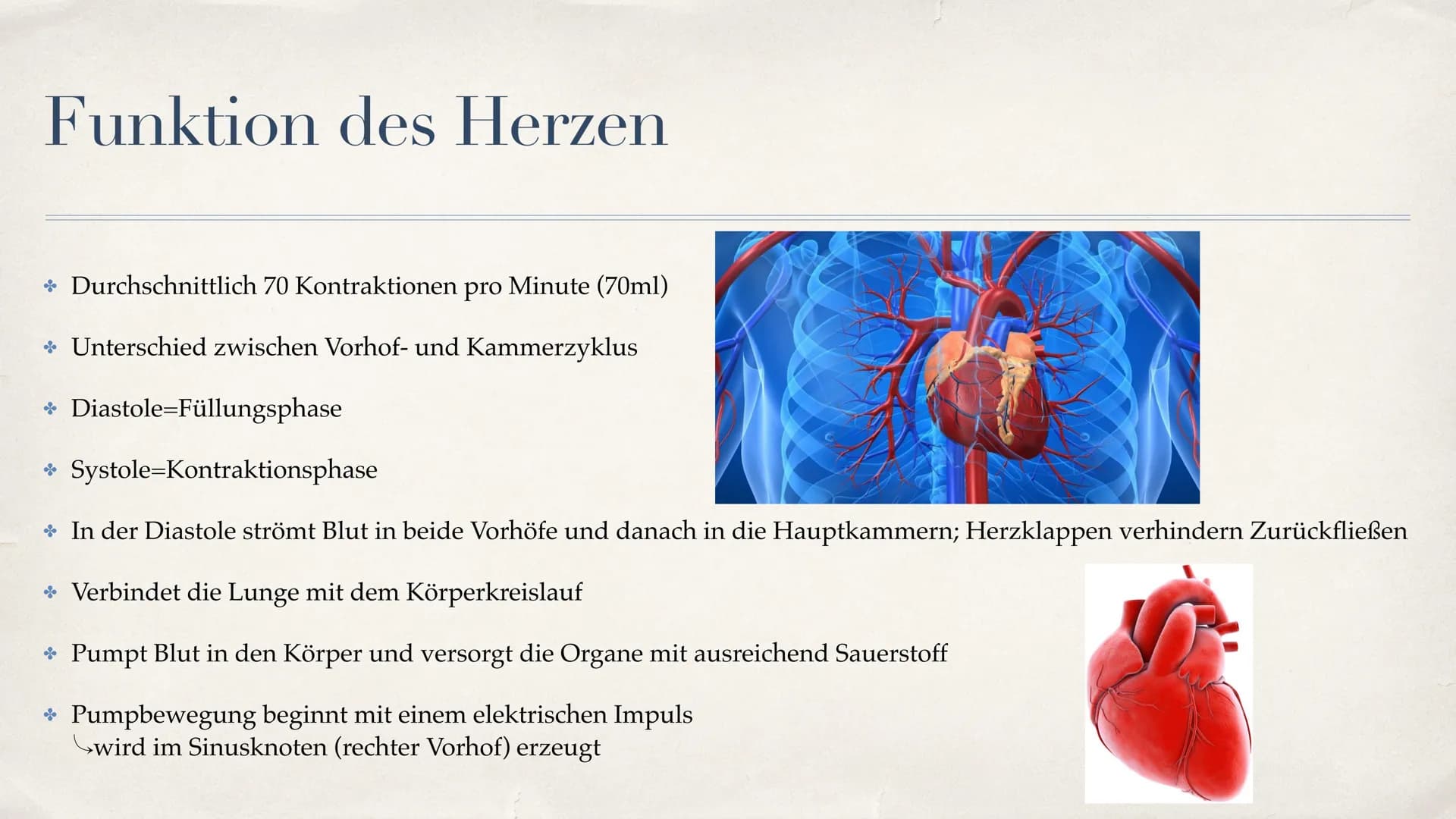 Herz-Kreislauf-System
08.10.2021 Gliederung
Aufbau des Herzen
Funktion des Herzen
Unterschied zwischen Venen und Aterien
* Der große Herzkre