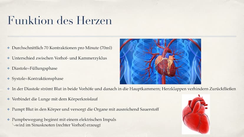 Herz-Kreislauf-System
08.10.2021 Gliederung
Aufbau des Herzen
Funktion des Herzen
Unterschied zwischen Venen und Aterien
* Der große Herzkre