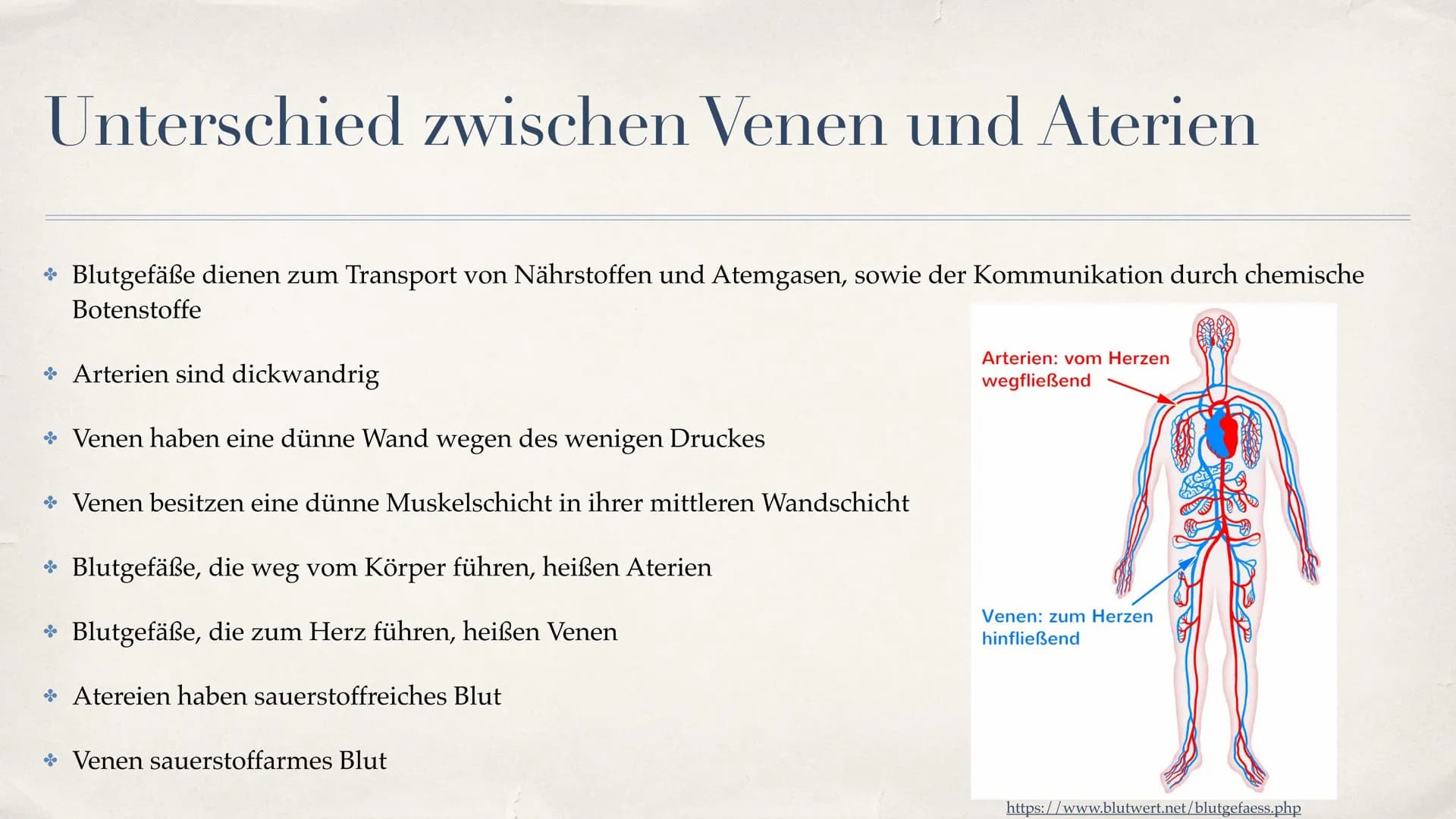 Herz-Kreislauf-System
08.10.2021 Gliederung
Aufbau des Herzen
Funktion des Herzen
Unterschied zwischen Venen und Aterien
* Der große Herzkre