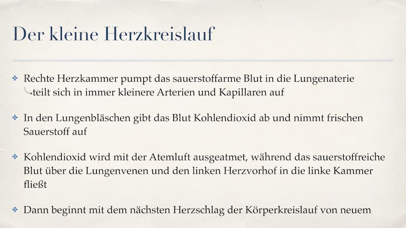 Herz-Kreislauf-System
08.10.2021 Gliederung
Aufbau des Herzen
Funktion des Herzen
Unterschied zwischen Venen und Aterien
* Der große Herzkre