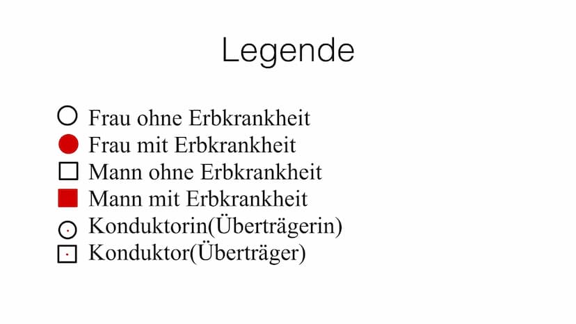 Stammbaumanalyse ●
●
●
Gründe
Wahrscheinlichkeit für Erbkrankheiten bestimmen
Merkmale (Erbkrankheiten) über Generationen zurückverfolgen
Ur