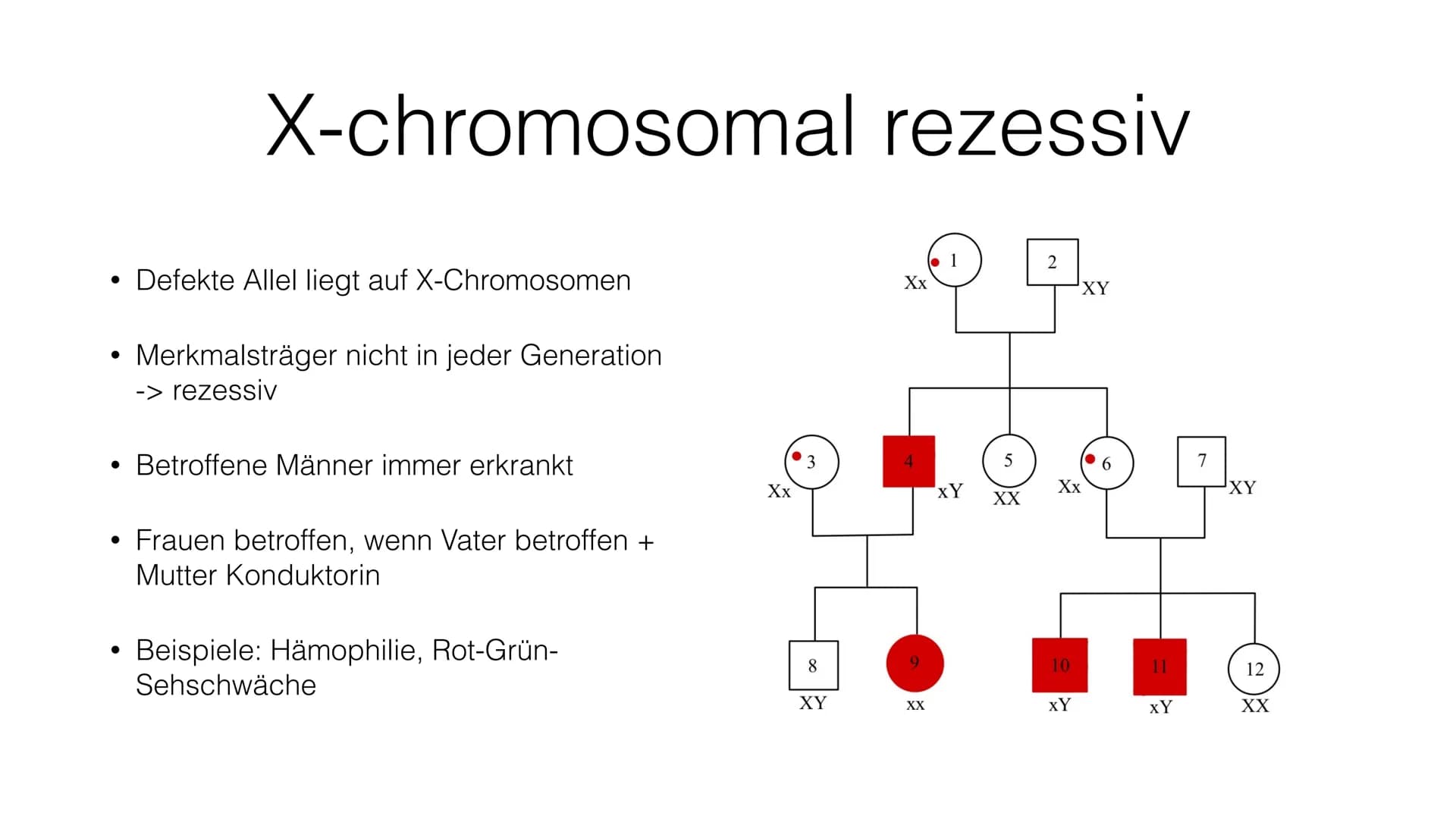 Stammbaumanalyse ●
●
●
Gründe
Wahrscheinlichkeit für Erbkrankheiten bestimmen
Merkmale (Erbkrankheiten) über Generationen zurückverfolgen
Ur