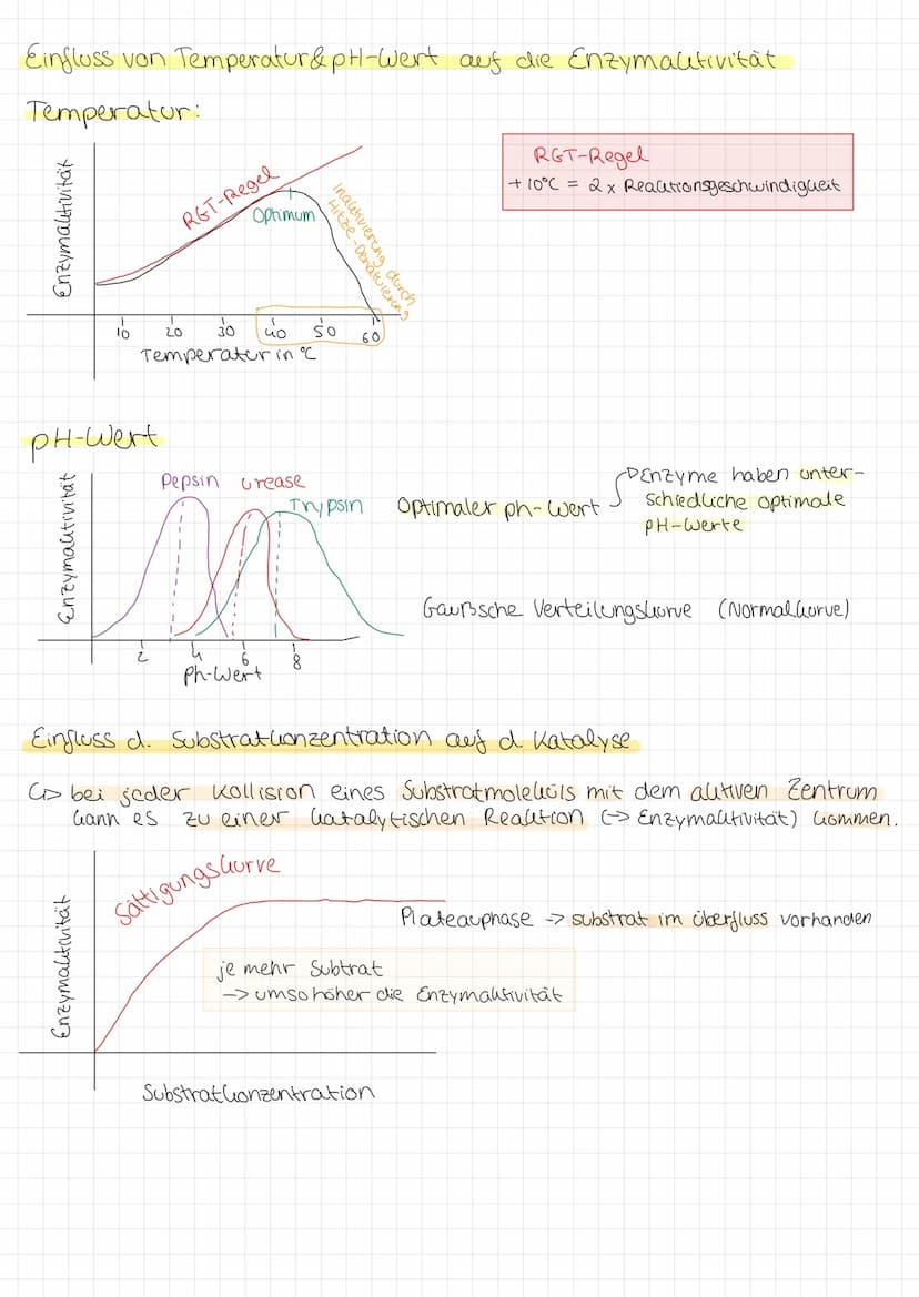 Zellmembran
●
Glycoprotein: protein with
carbohydrate attached
LU
Peripheral membrane
protein
Integral membrane
protein
Aufgabe Abgrenzung d