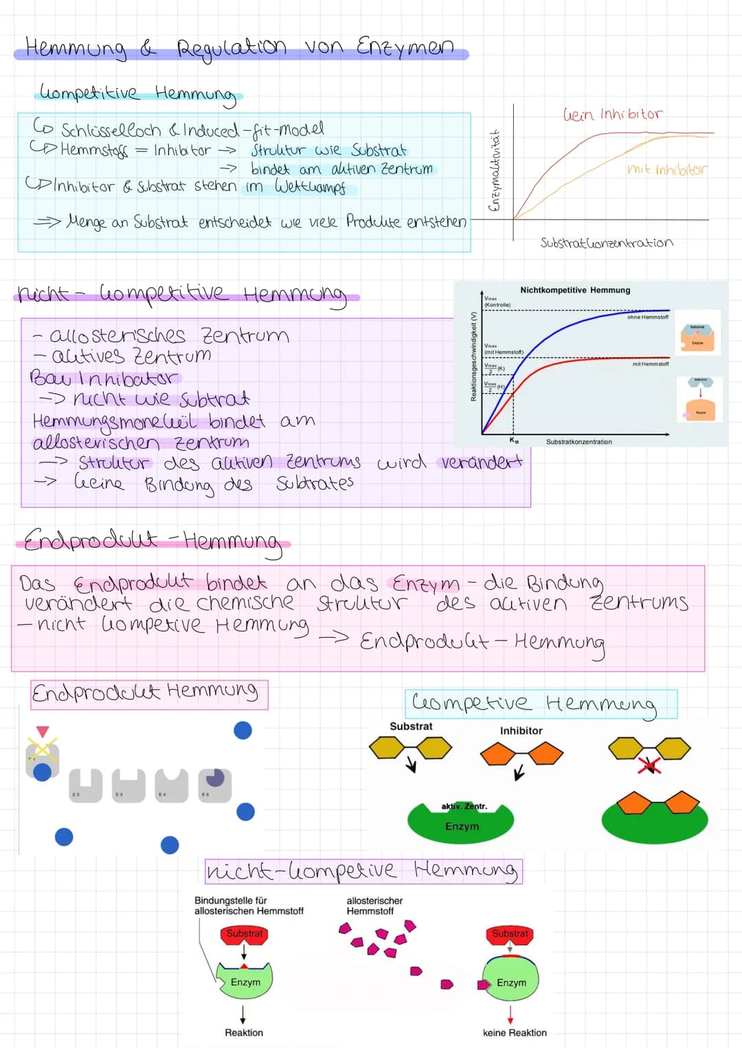 Zellmembran
●
Glycoprotein: protein with
carbohydrate attached
LU
Peripheral membrane
protein
Integral membrane
protein
Aufgabe Abgrenzung d