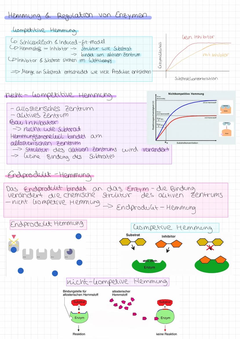 Zellmembran
●
Glycoprotein: protein with
carbohydrate attached
LU
Peripheral membrane
protein
Integral membrane
protein
Aufgabe Abgrenzung d