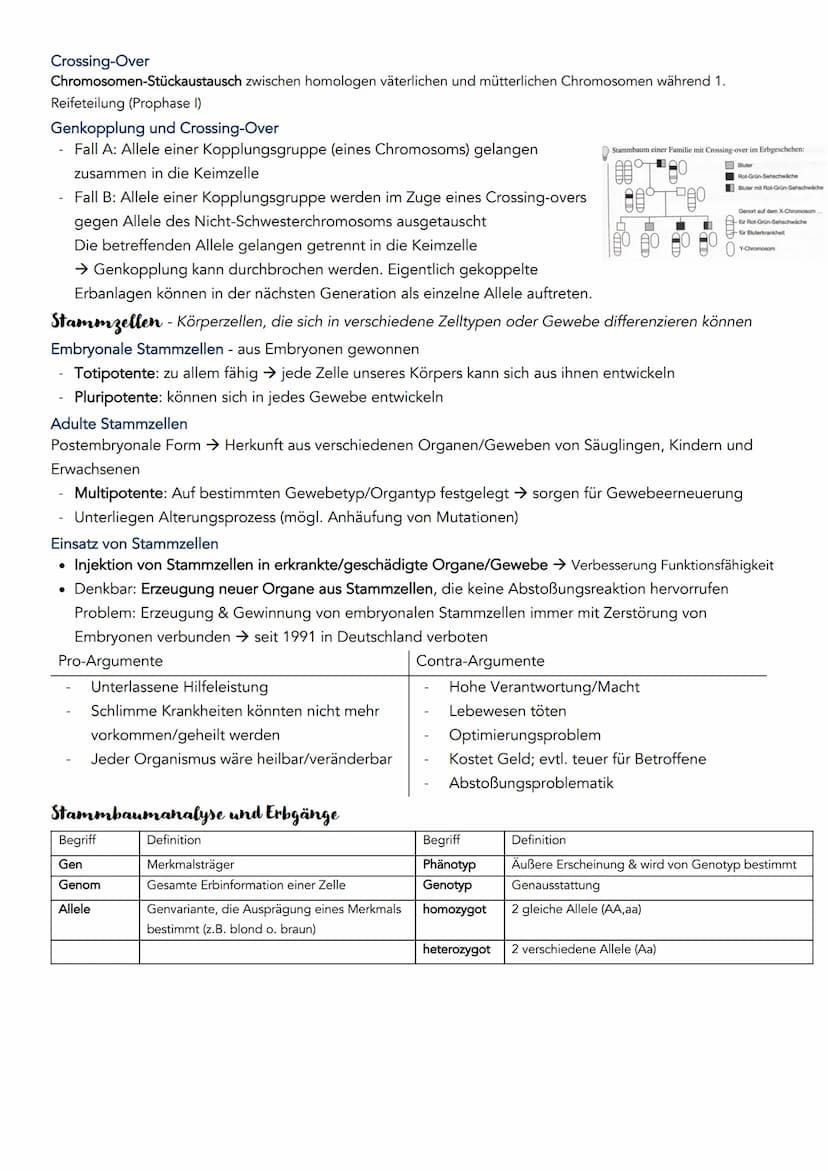 Bau und Struktur der Nukleinsäure
Anzahl Stränge
Phosphorsäurerest
Zucker
Organische Basen
DNA übersetzen
Diploider
九天
und
Diploider Chromos