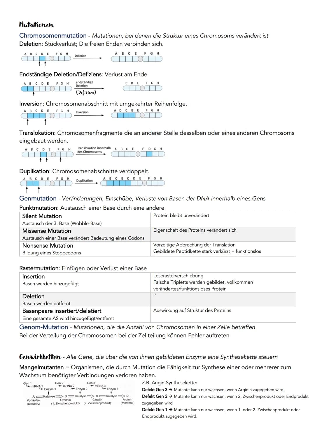 Bau und Struktur der Nukleinsäure
Anzahl Stränge
Phosphorsäurerest
Zucker
Organische Basen
DNA übersetzen
Diploider
九天
und
Diploider Chromos