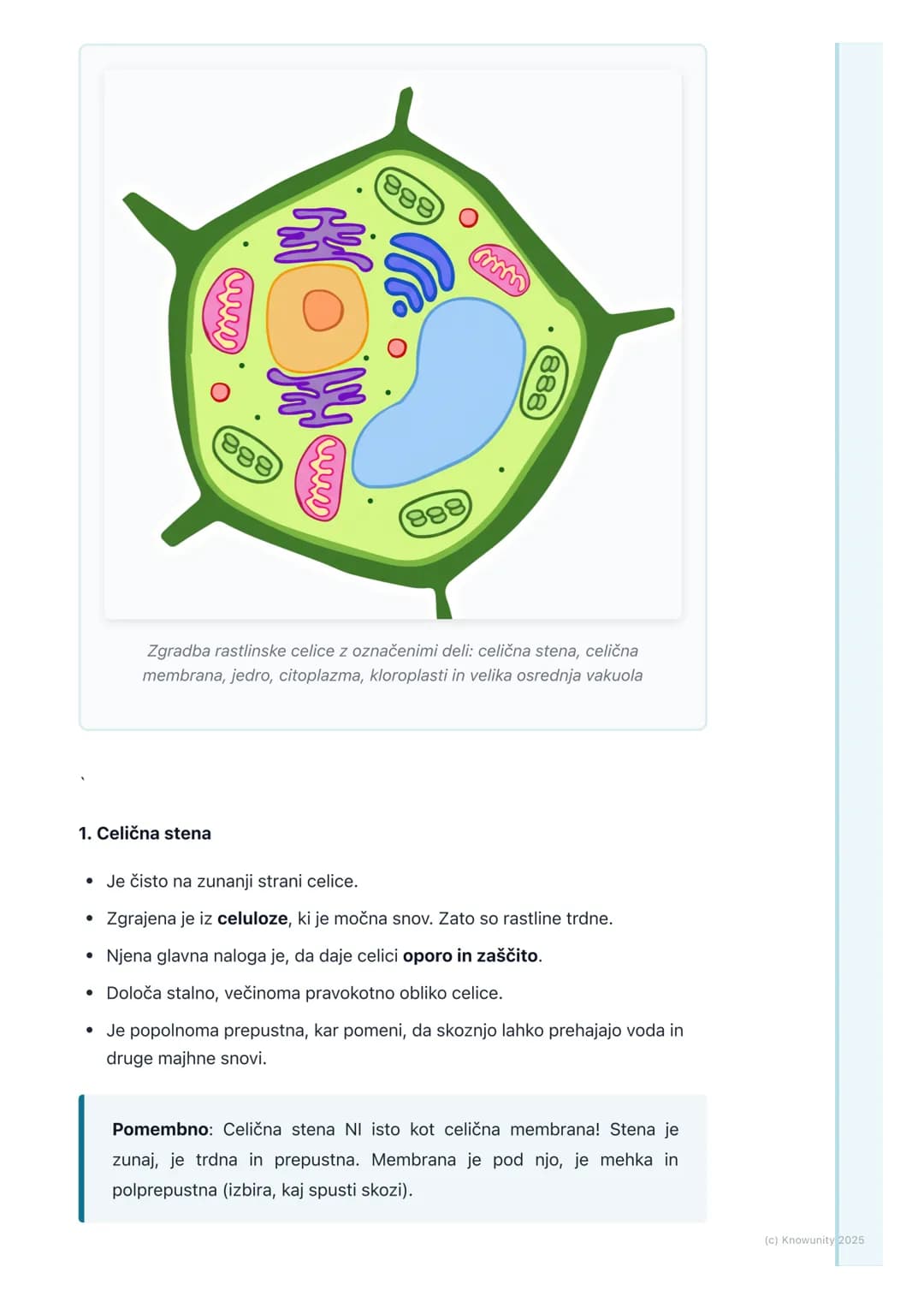 # Zgradba rastlinske celice

Zgradba rastlinske celice

Rastlinske celice so evkariontske celice, kar pomeni, da imajo pravo jedro.
Podobne 