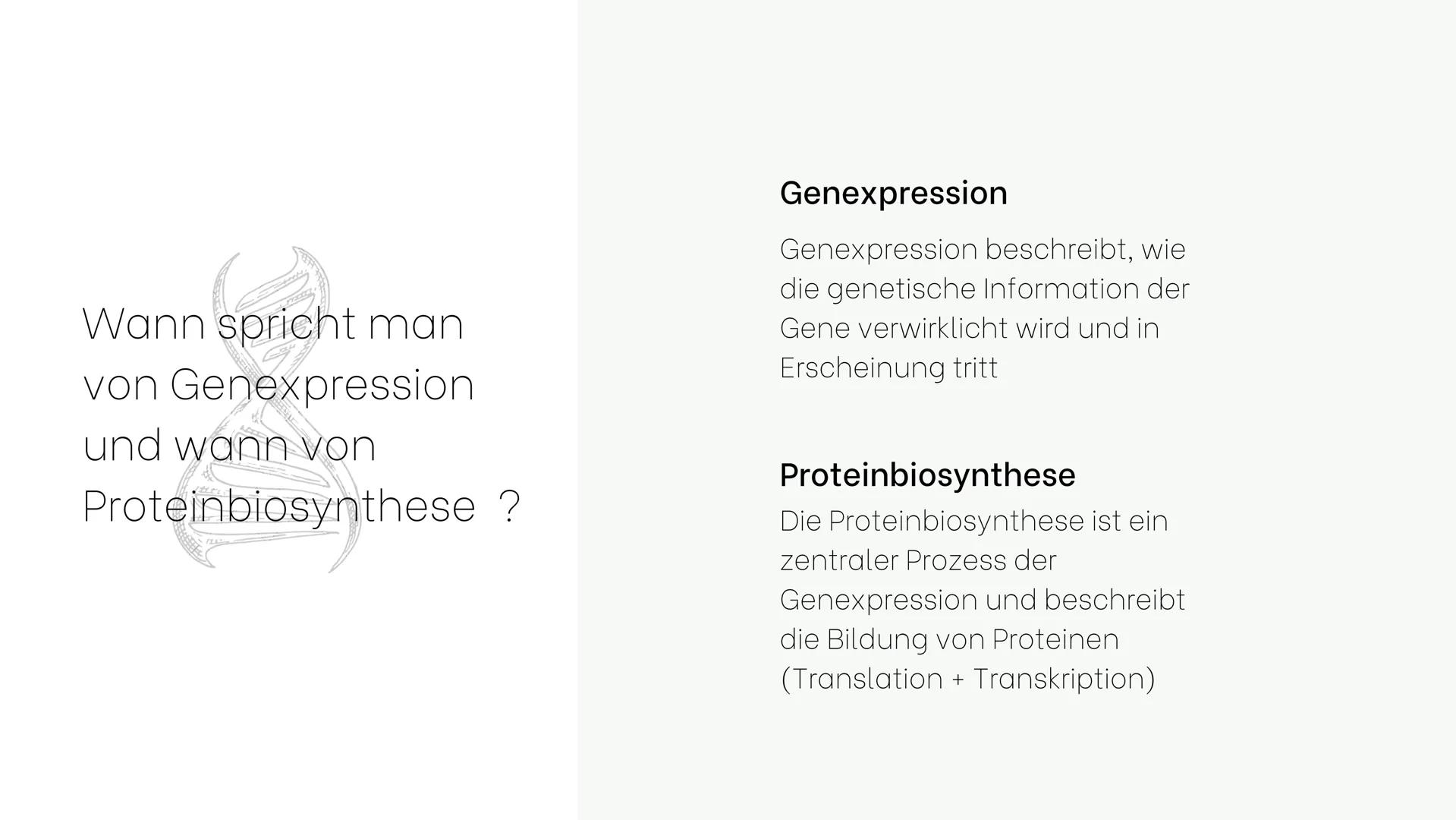 Genexpression
Der Weg vom Gen zum Genprodukt Gliederung
1. Genexpression oder
Proteinbiosynthese
2. Transkription
3.Warum eigentlich mRNA?
4