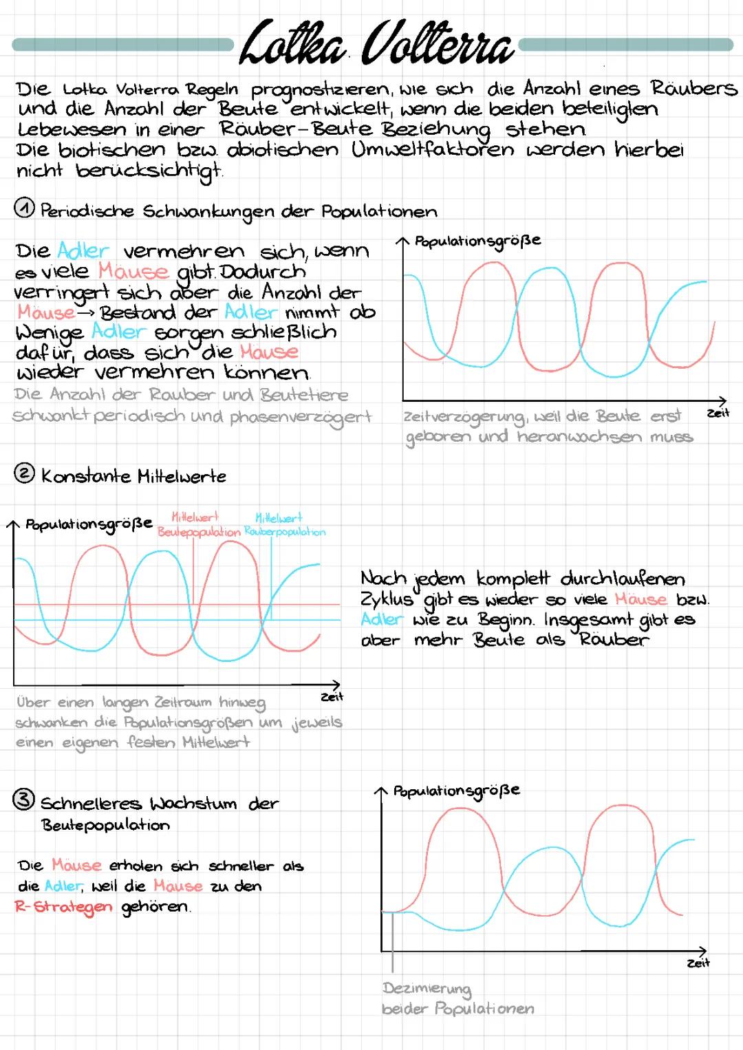 Einführung in die Lotka-Volterra-Regeln