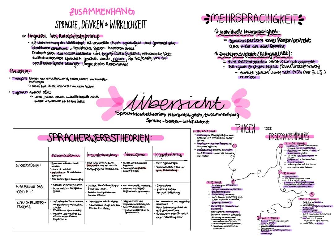 Sprache, Denken, Wirklichkeit - Mehrsprachigkeit, Spracherwerbstheorien, Phasen der Sprachentwicklung