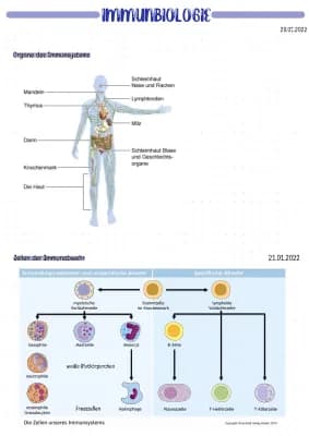 Know Immunbiologie  thumbnail