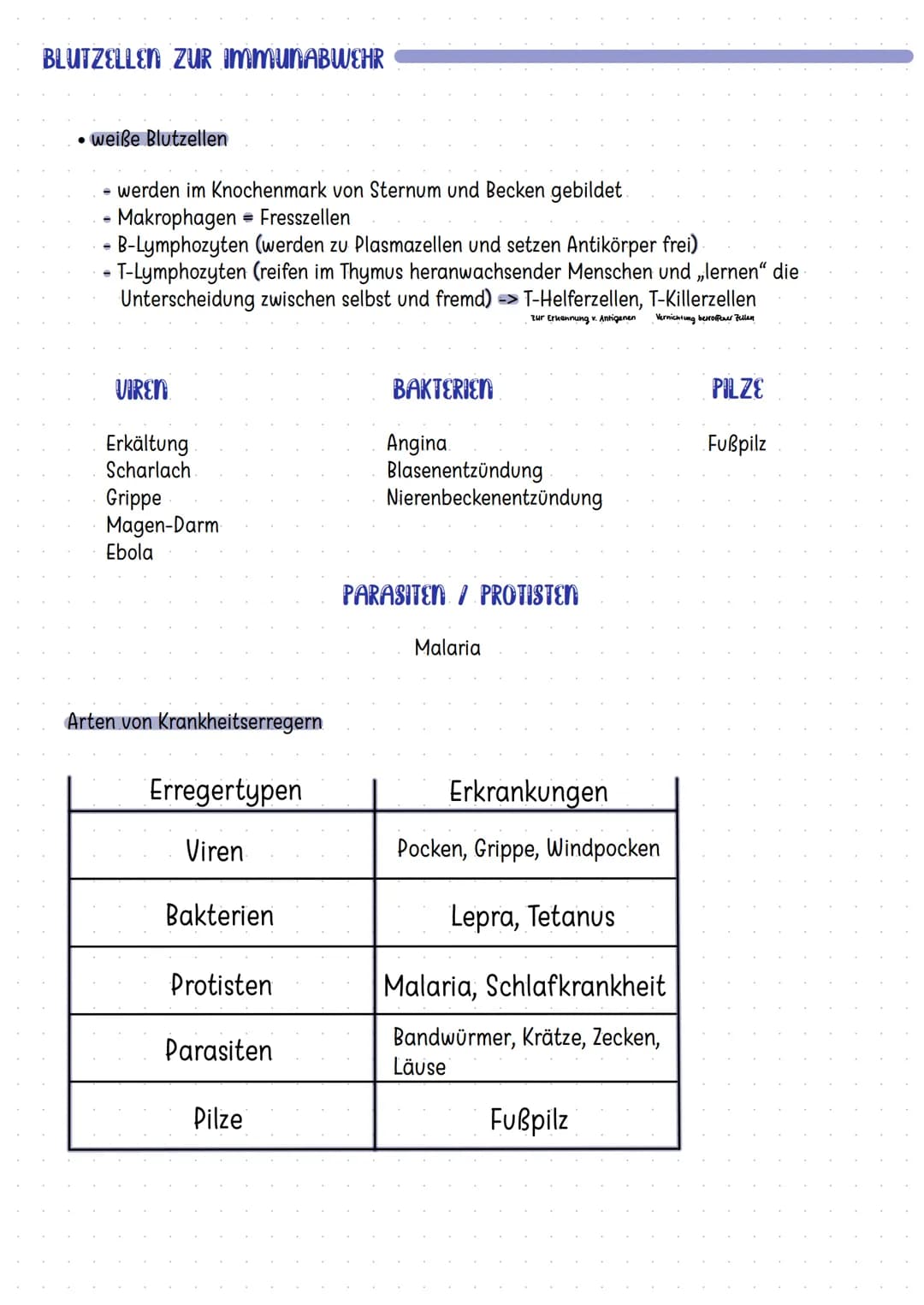 Organe des Immunsystems
Mandeln
Thymus
Darm
Knochenmark
Die Haut
Zellen der Immunabwehr
basophile
neutrophile
myeloische
Vorläuferzelle
Mast