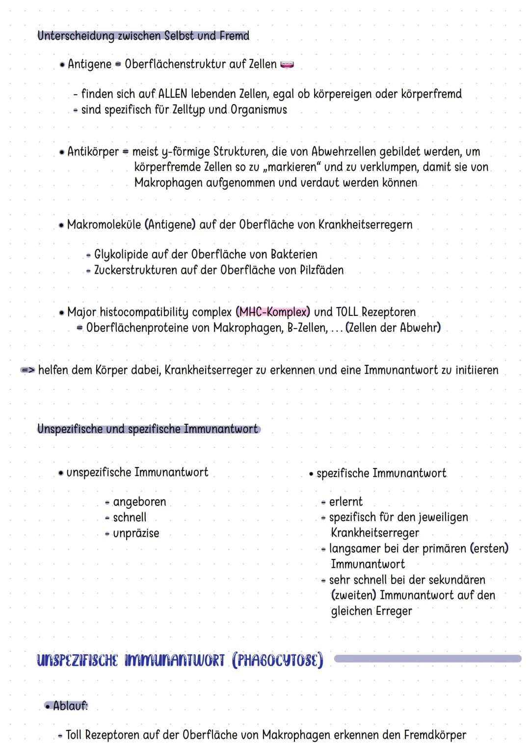 Organe des Immunsystems
Mandeln
Thymus
Darm
Knochenmark
Die Haut
Zellen der Immunabwehr
basophile
neutrophile
myeloische
Vorläuferzelle
Mast