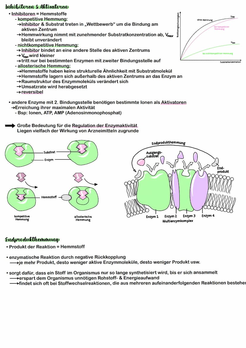 Enzyme
AUFBAU:
• fast immer Proteine (kompliziert gefaltete Ketten aus Aminosäuren), können noch durch weitere Bestandteile
ergänzt sein
- K