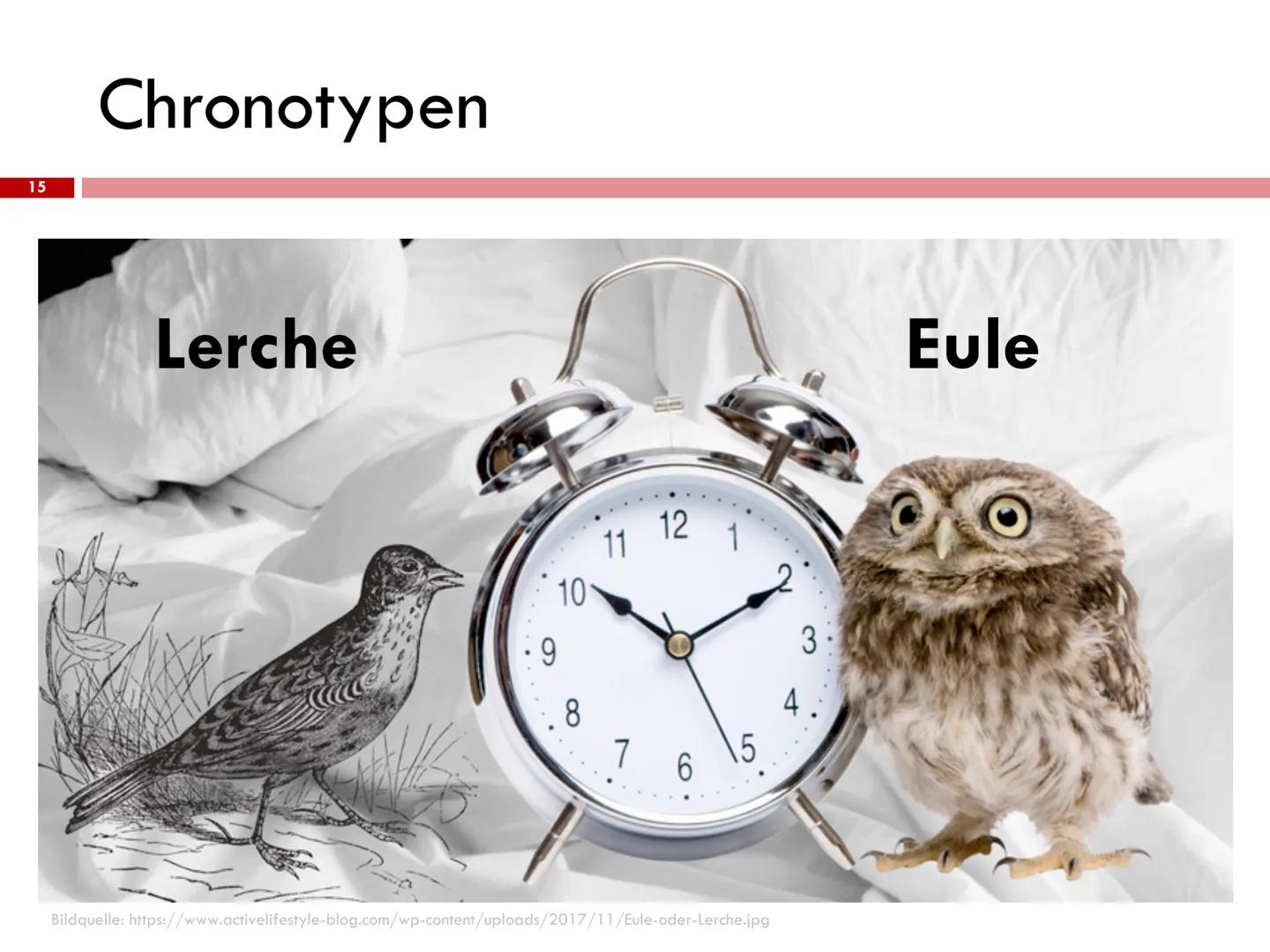 
<h2 id="chronobiologie">Chronobiologie</h2>
<p>Die innere Uhr ist ein Teil der Chronobiologie, ein Fachgebiet der Biologie, das die zeitlic