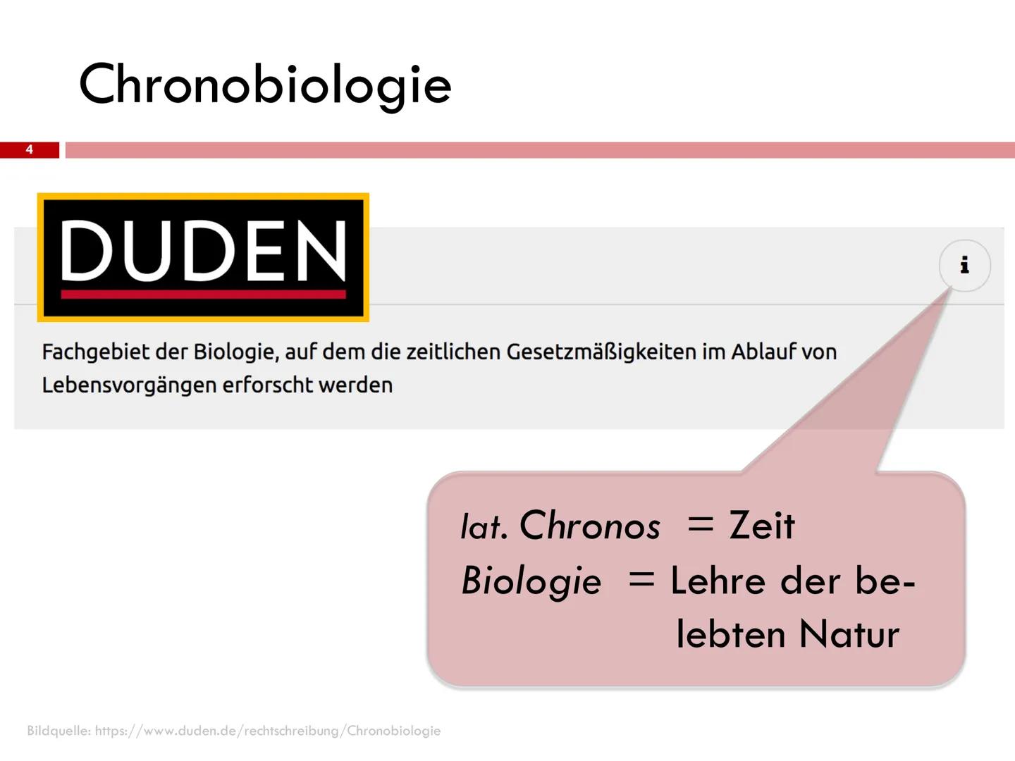 
<h2 id="chronobiologie">Chronobiologie</h2>
<p>Die innere Uhr ist ein Teil der Chronobiologie, ein Fachgebiet der Biologie, das die zeitlic