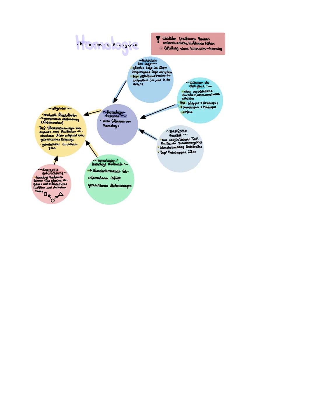 Homologue
~allgemein~
beschreib halichkeiten
gemeinsamen stammung
(GxGinformation)
·Def: Übereinstimmungen von
Orgahen und Strukturen ver-
s