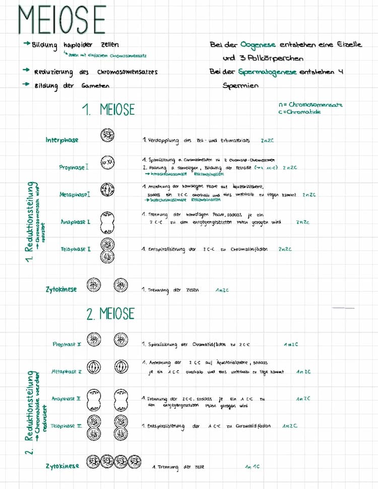 Know Humangenetik  thumbnail