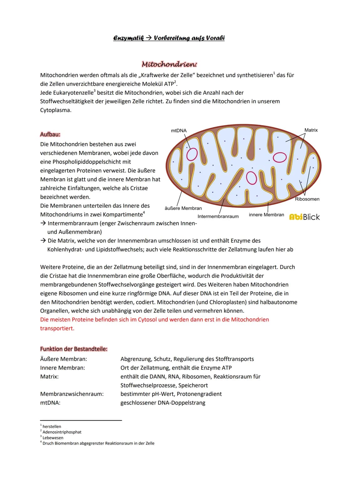 Mitochondrien:
Mitochondrien werden oftmals als die ,,Kraftwerke der Zelle" bezeichnet und synthetisieren¹ das für
die Zellen unverzichtbare