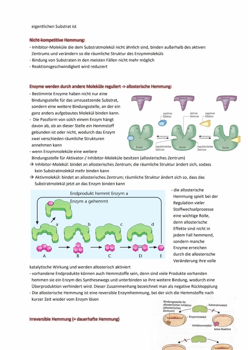 Mitochondrien:
Mitochondrien werden oftmals als die ,,Kraftwerke der Zelle" bezeichnet und synthetisieren¹ das für
die Zellen unverzichtbare