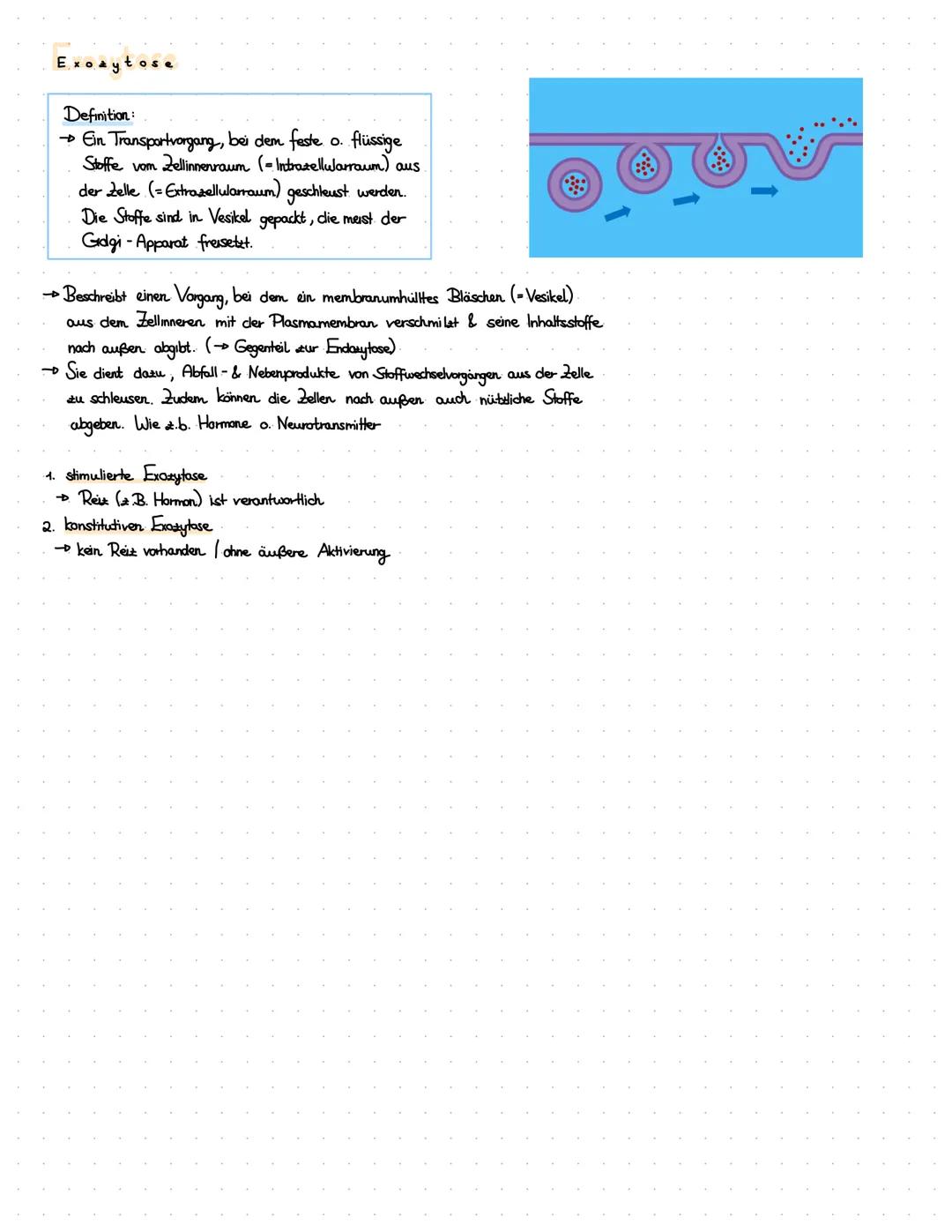 Definition:
Die Endazytose ist ein Transportvorgang, bei dem
eukariotische Zellen (Lebewesen mit einem Zellkem)
durch Einstülpung der Plasma