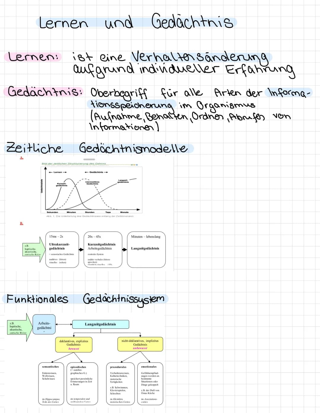 
<p>Das Hebbsche Modell ist ein Modell zur Informationsspeicherung, das besagt, dass alle Neuronen des Cortex, die durch ein externes Reizmu