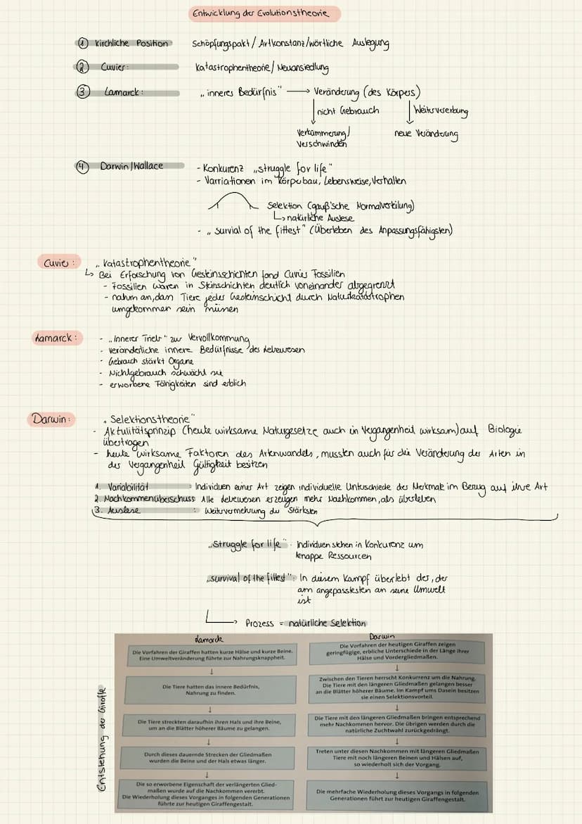 1.KA Biologie (11) kirchliche Position:
(2) Cuvier:
(3) Lamarck:
hamarck:
Darwin:
4 Darwin Wallace
Entwicklung der Evolutionstheorie
Cuvie: 