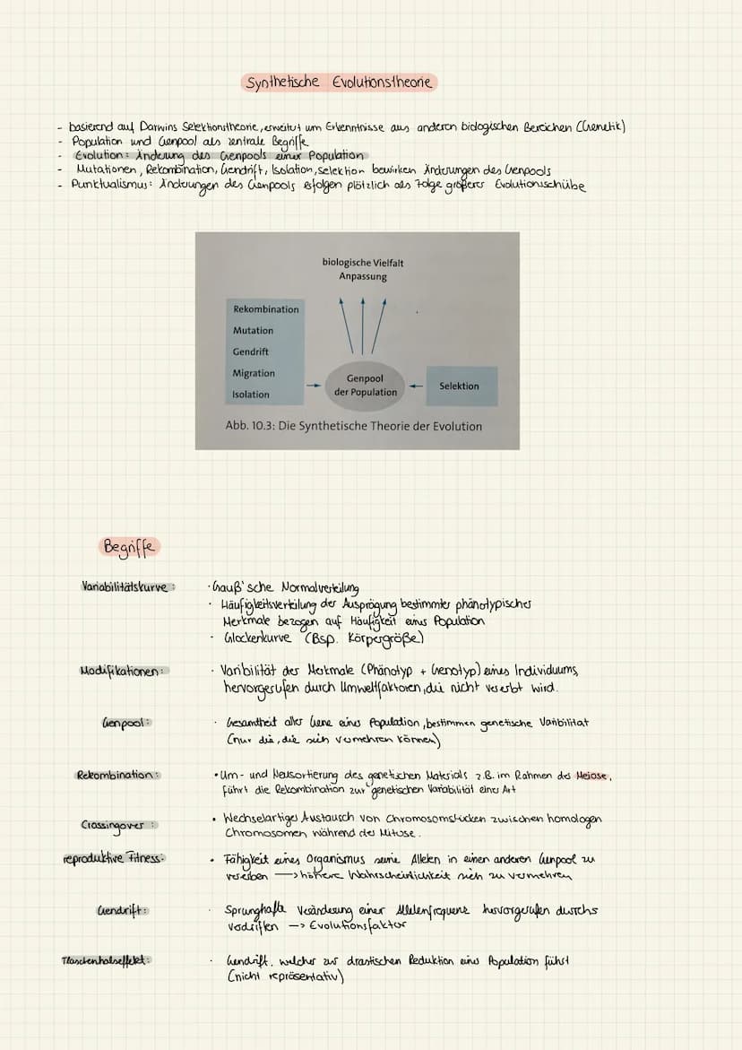 1.KA Biologie (11) kirchliche Position:
(2) Cuvier:
(3) Lamarck:
hamarck:
Darwin:
4 Darwin Wallace
Entwicklung der Evolutionstheorie
Cuvie: 