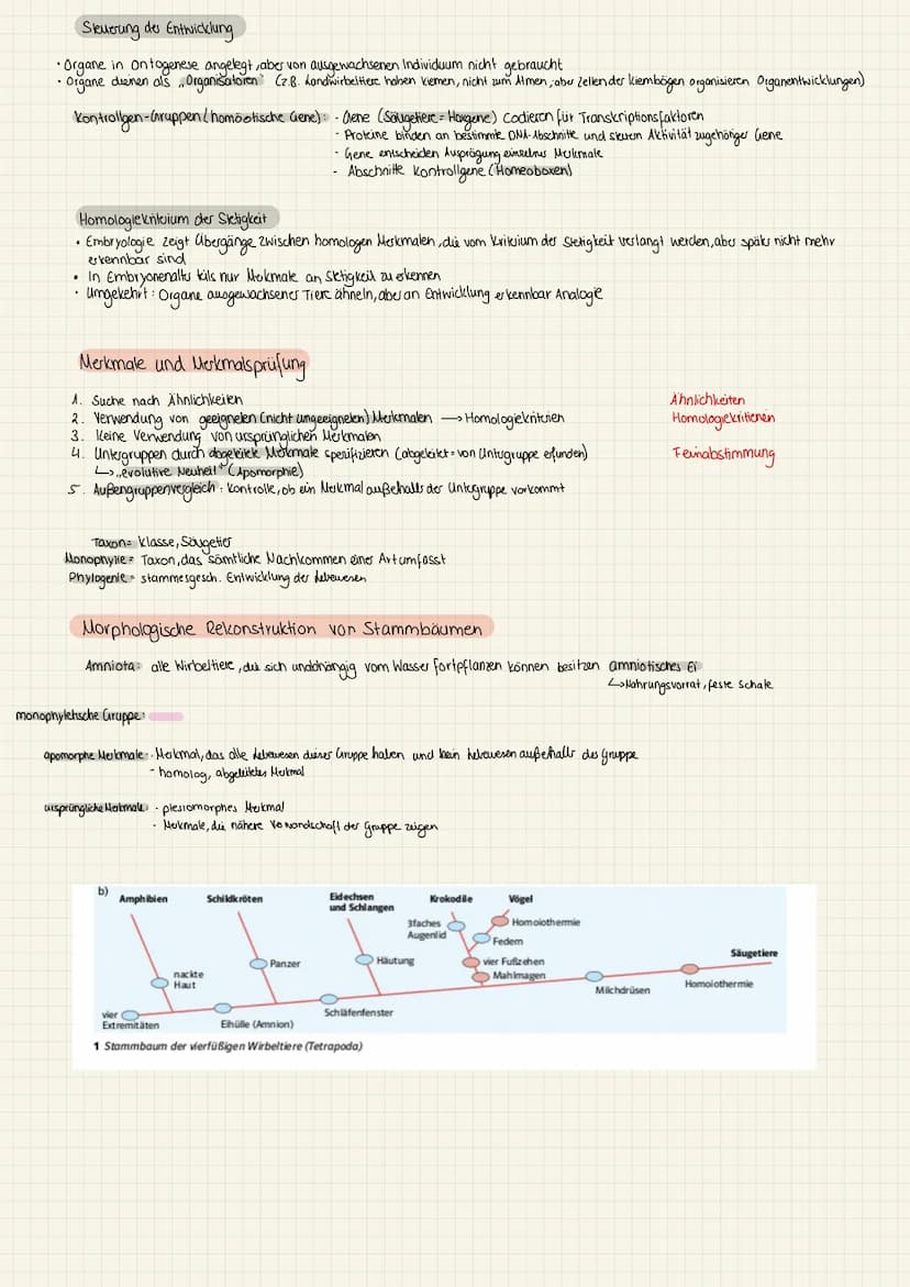 1.KA Biologie (11) kirchliche Position:
(2) Cuvier:
(3) Lamarck:
hamarck:
Darwin:
4 Darwin Wallace
Entwicklung der Evolutionstheorie
Cuvie: 