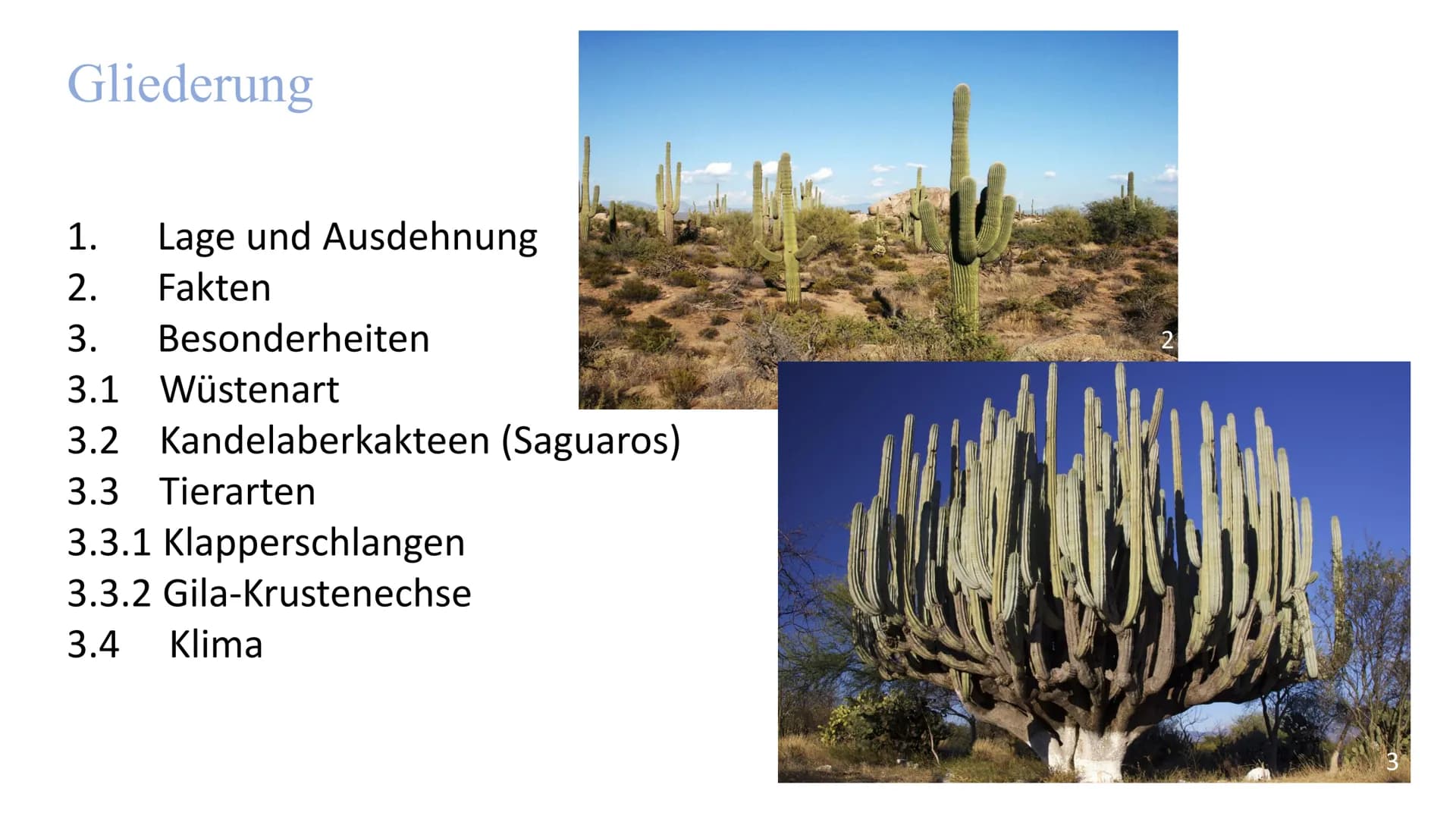 
<h2 id="lageundausdehnung">Lage und Ausdehnung</h2>
<p>Die Sonora-Wüste erstreckt sich über eine Fläche von 1350 km von Norden nach Süden u