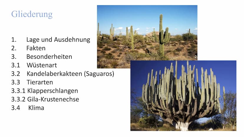 
<h2 id="lageundausdehnung">Lage und Ausdehnung</h2>
<p>Die Sonora-Wüste erstreckt sich über eine Fläche von 1350 km von Norden nach Süden u