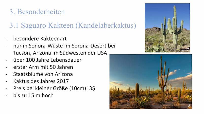 
<h2 id="lageundausdehnung">Lage und Ausdehnung</h2>
<p>Die Sonora-Wüste erstreckt sich über eine Fläche von 1350 km von Norden nach Süden u