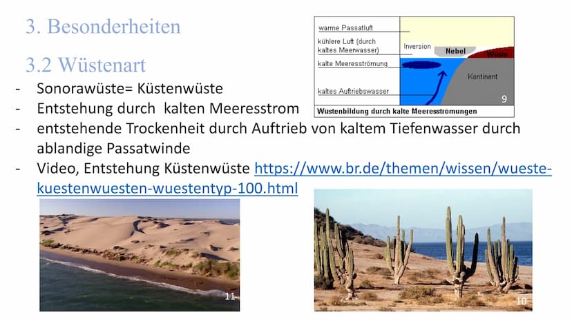 
<h2 id="lageundausdehnung">Lage und Ausdehnung</h2>
<p>Die Sonora-Wüste erstreckt sich über eine Fläche von 1350 km von Norden nach Süden u