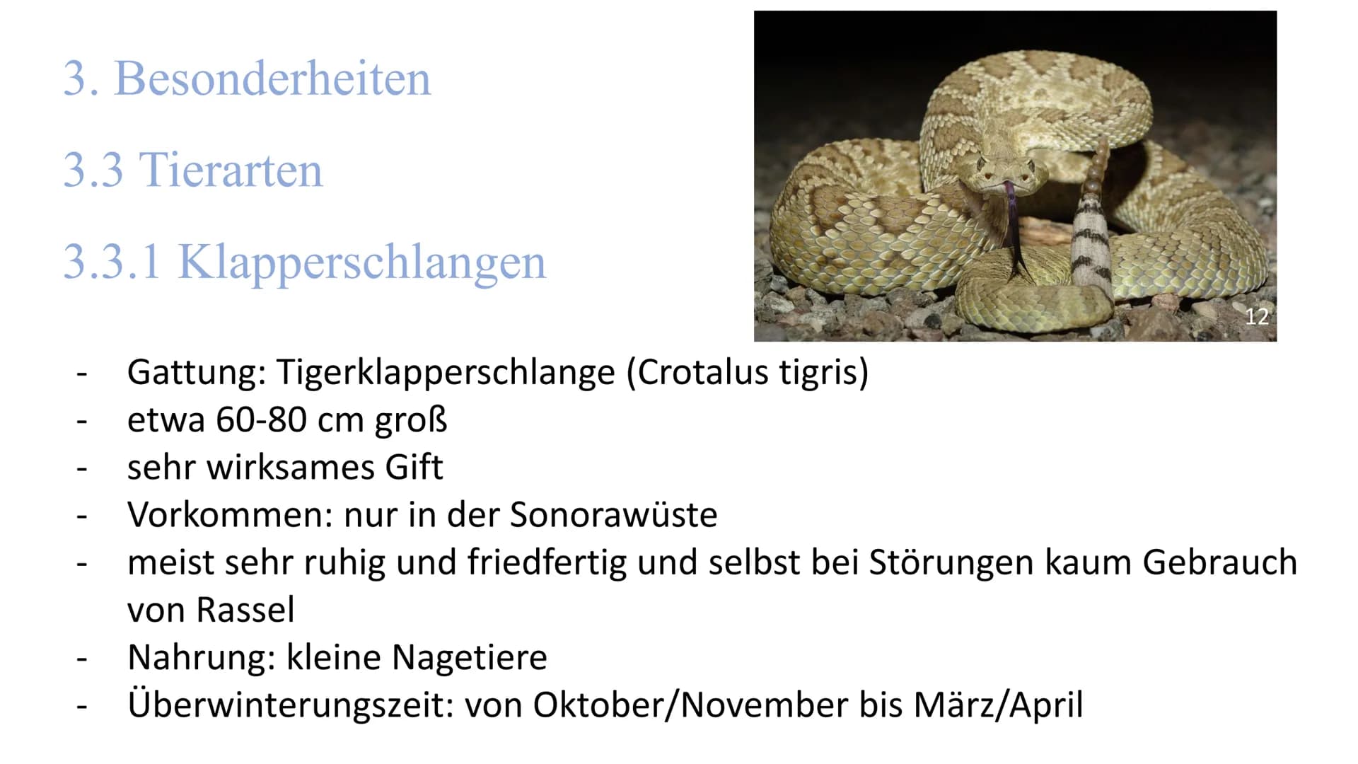 
<h2 id="lageundausdehnung">Lage und Ausdehnung</h2>
<p>Die Sonora-Wüste erstreckt sich über eine Fläche von 1350 km von Norden nach Süden u