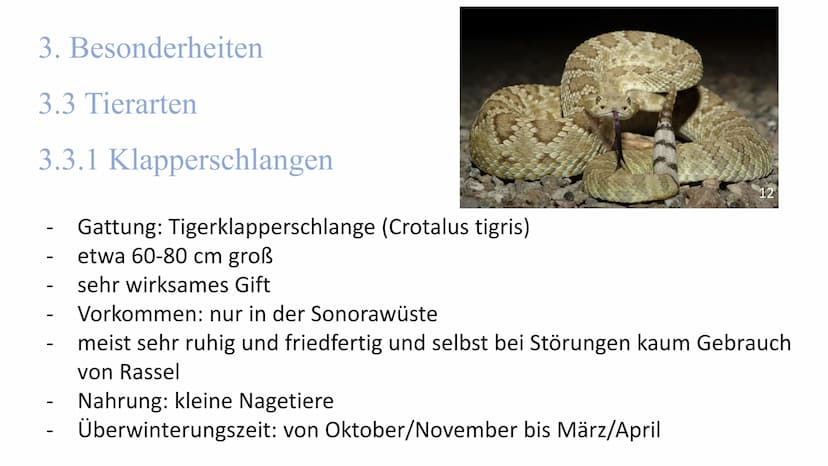 
<h2 id="lageundausdehnung">Lage und Ausdehnung</h2>
<p>Die Sonora-Wüste erstreckt sich über eine Fläche von 1350 km von Norden nach Süden u