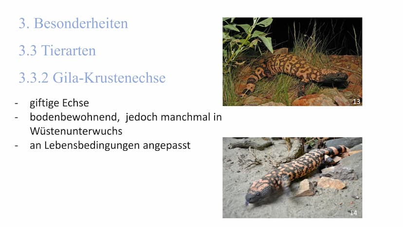 
<h2 id="lageundausdehnung">Lage und Ausdehnung</h2>
<p>Die Sonora-Wüste erstreckt sich über eine Fläche von 1350 km von Norden nach Süden u