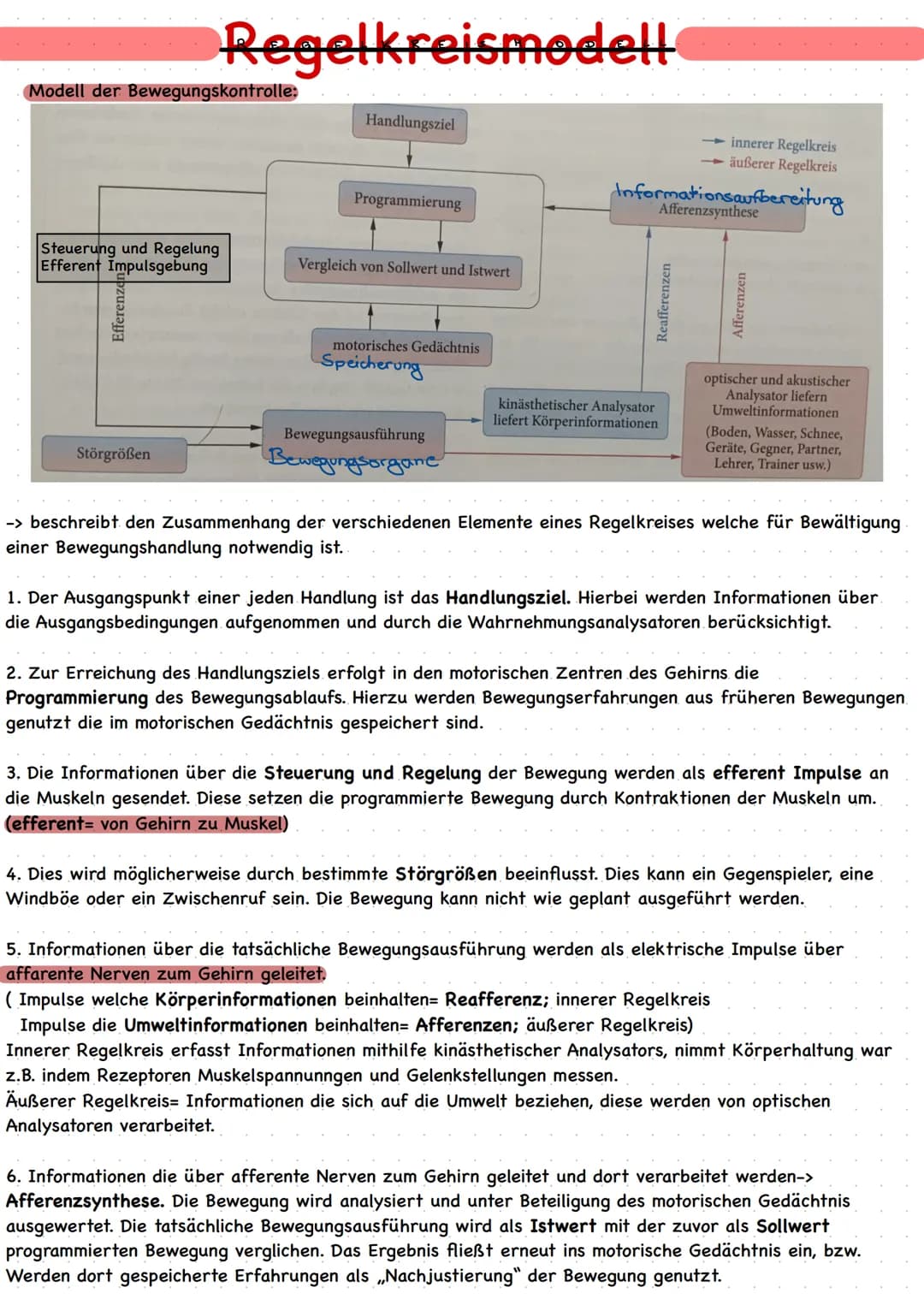 Modell der Bewegungskontrolle:
Regelkreismedell
Steuerung und Regelung
Efferent Impulsgebung
Störgrößen
Handlungsziel
Programmierung
Verglei