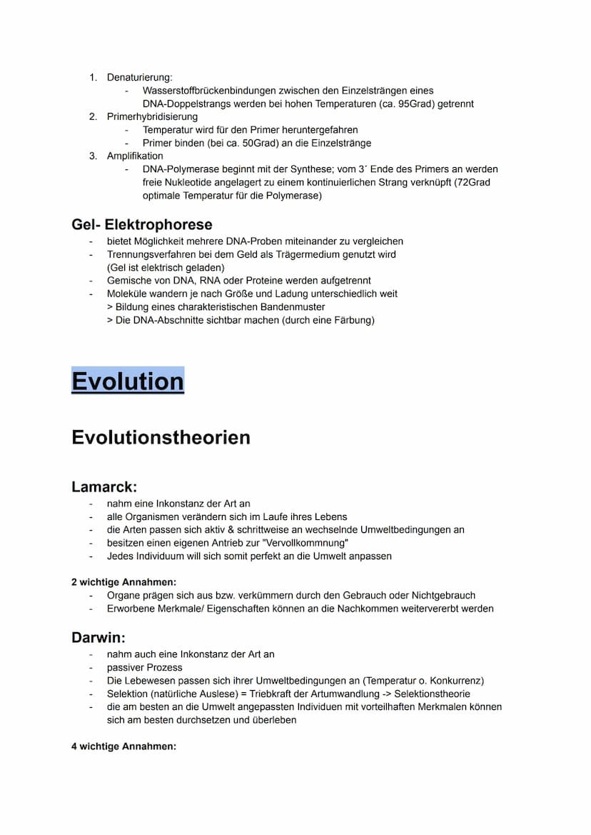 Biologie MÜNDLICH ABI NRW
gönnt euch 2025. Alles drin, was man wissen muss.
Kauft euch auf keinen Fall Lernzettel. Bildung sollte immer free