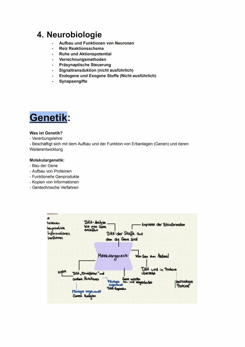 Biologie MÜNDLICH ABI NRW
gönnt euch 2025. Alles drin, was man wissen muss.
Kauft euch auf keinen Fall Lernzettel. Bildung sollte immer free