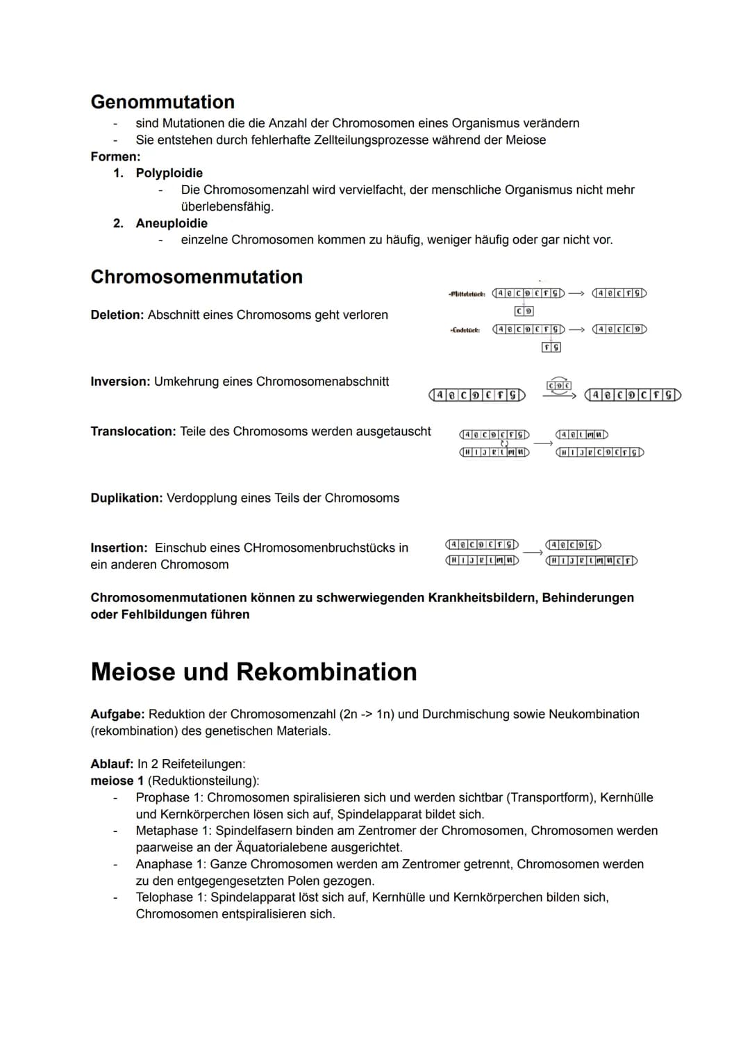 Biologie MÜNDLICH ABI NRW
gönnt euch 2025. Alles drin, was man wissen muss.
Kauft euch auf keinen Fall Lernzettel. Bildung sollte immer free
