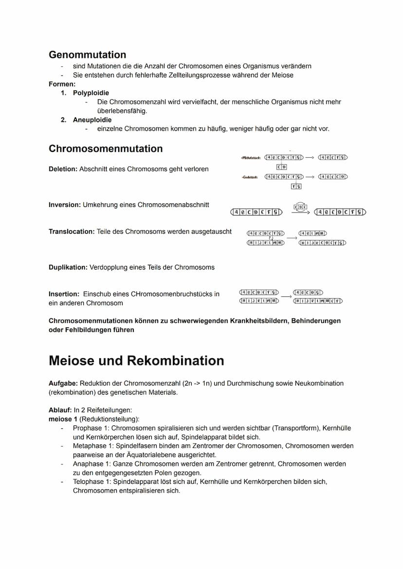 Biologie MÜNDLICH ABI NRW
gönnt euch 2025. Alles drin, was man wissen muss.
Kauft euch auf keinen Fall Lernzettel. Bildung sollte immer free