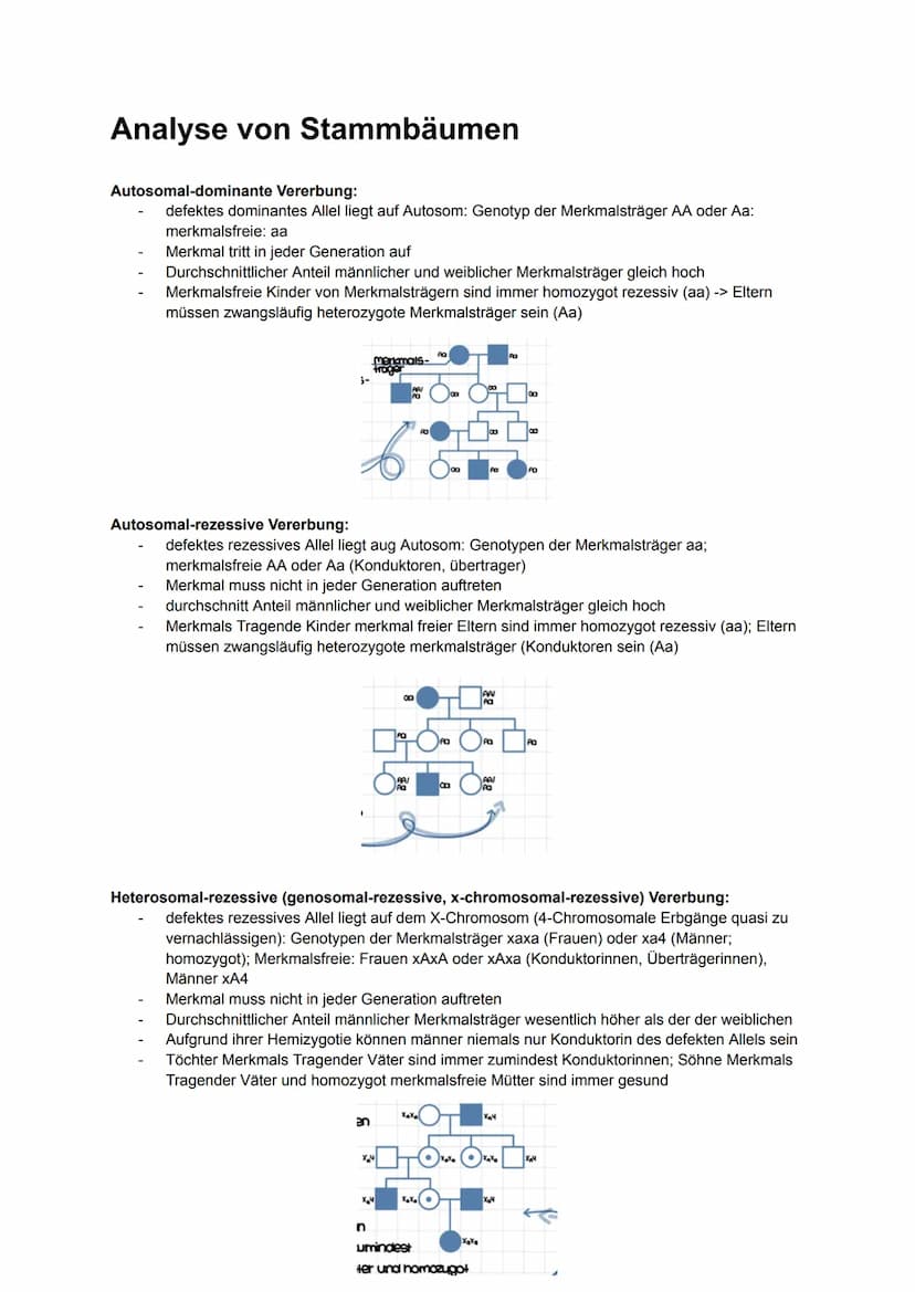 Biologie MÜNDLICH ABI NRW
gönnt euch 2025. Alles drin, was man wissen muss.
Kauft euch auf keinen Fall Lernzettel. Bildung sollte immer free