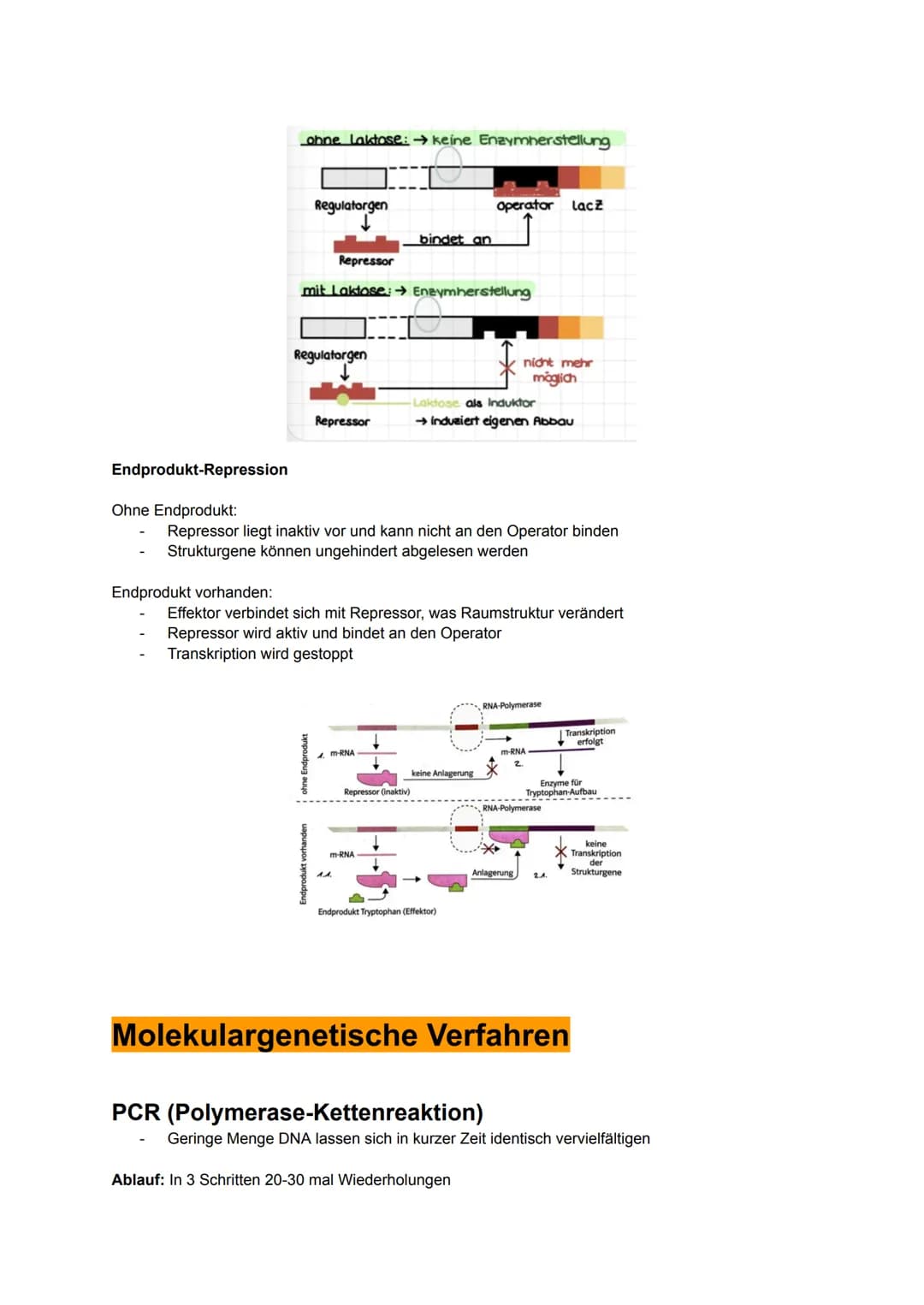 Biologie MÜNDLICH ABI NRW
gönnt euch 2025. Alles drin, was man wissen muss.
Kauft euch auf keinen Fall Lernzettel. Bildung sollte immer free