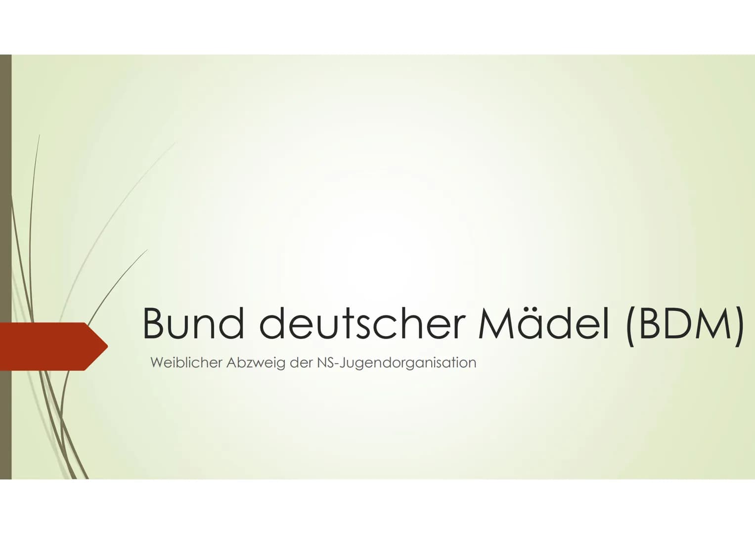 Die Hitlerjugend &
Der Bund deutscher Mädel Gliederung
➡ Die NS-Jugendorganisation
Aufgliederung
➡ Allgemein
➡ Böblingen/Sindelfingen
Hitler